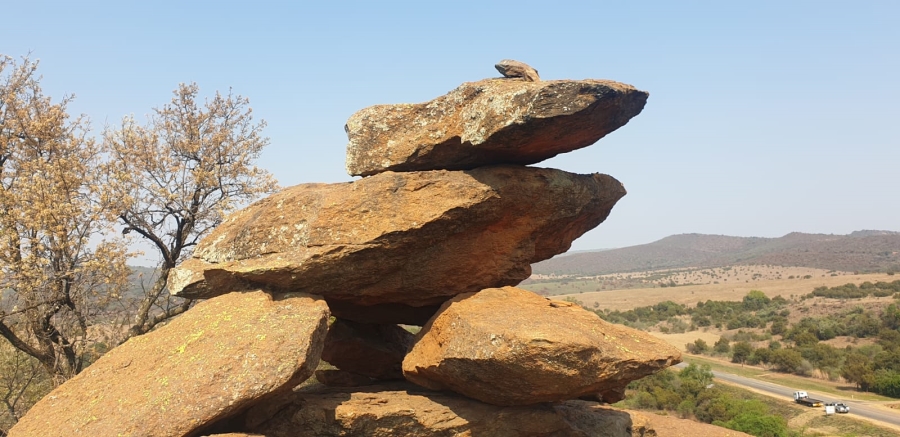 10 Bedroom Property for Sale in Broederstroom North West